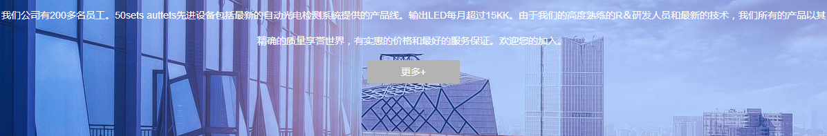 洛壹网站案例