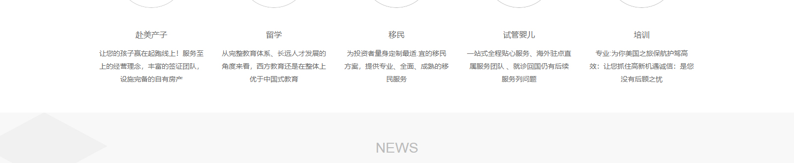 洛壹网络网站案例