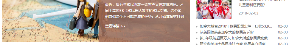 洛壹网络网站案例