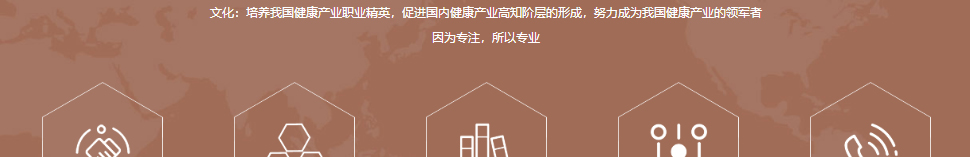 洛壹网络网站案例