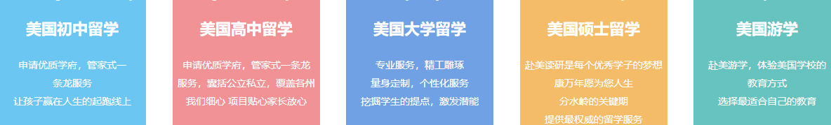 洛壹网络网站案例