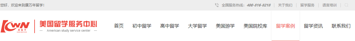 洛壹网络网站案例