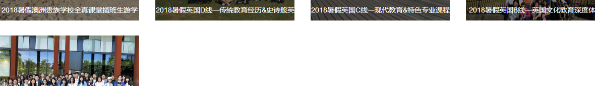 洛壹网络网站案例