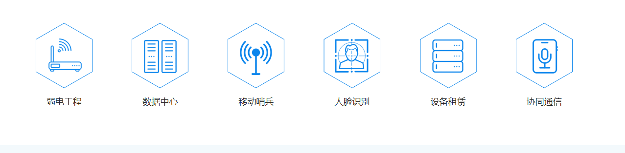 洛壹网络网站案例