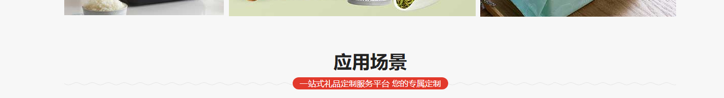 洛壹网络网站案例