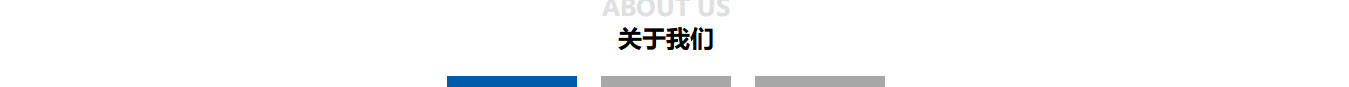 洛壹网络网站案例