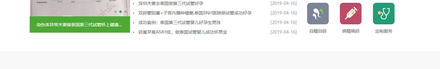 洛壹网络网站案例