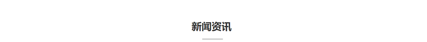 洛壹网络网站建设案例