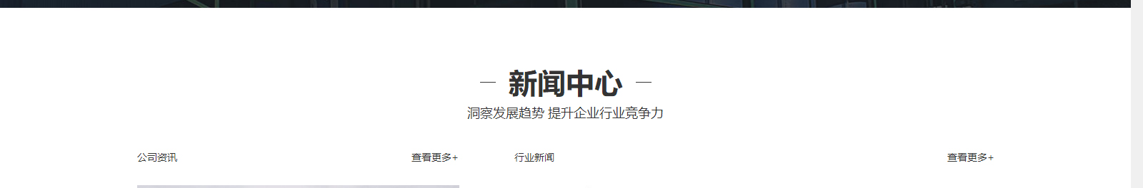 洛壹网络网站案例