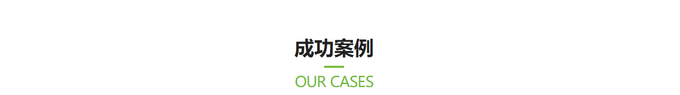 洛壹网络网站建设案例