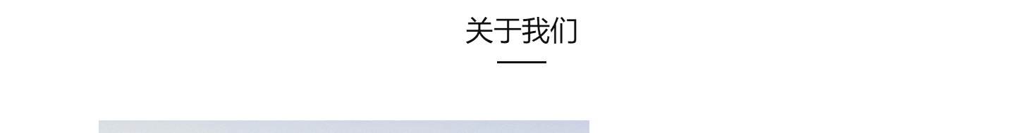 洛壹网络网站案例