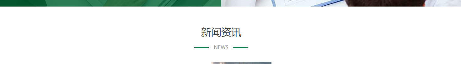 洛壹网络网站案例