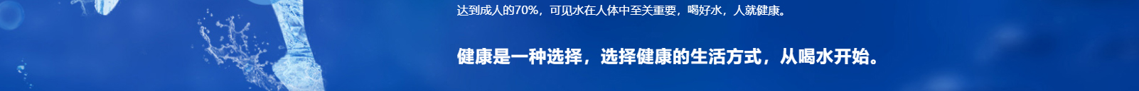 洛壹网络网站案例