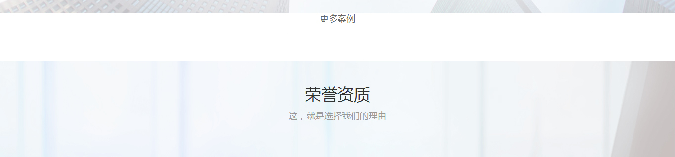 洛壹网络网站案例