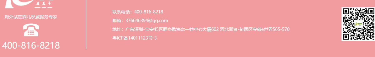 洛壹网络网站案例