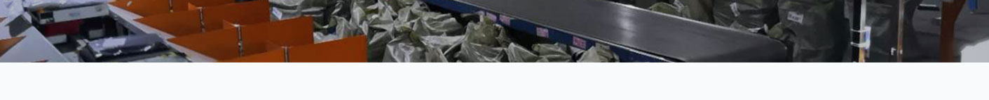 洛壹网络网站案例